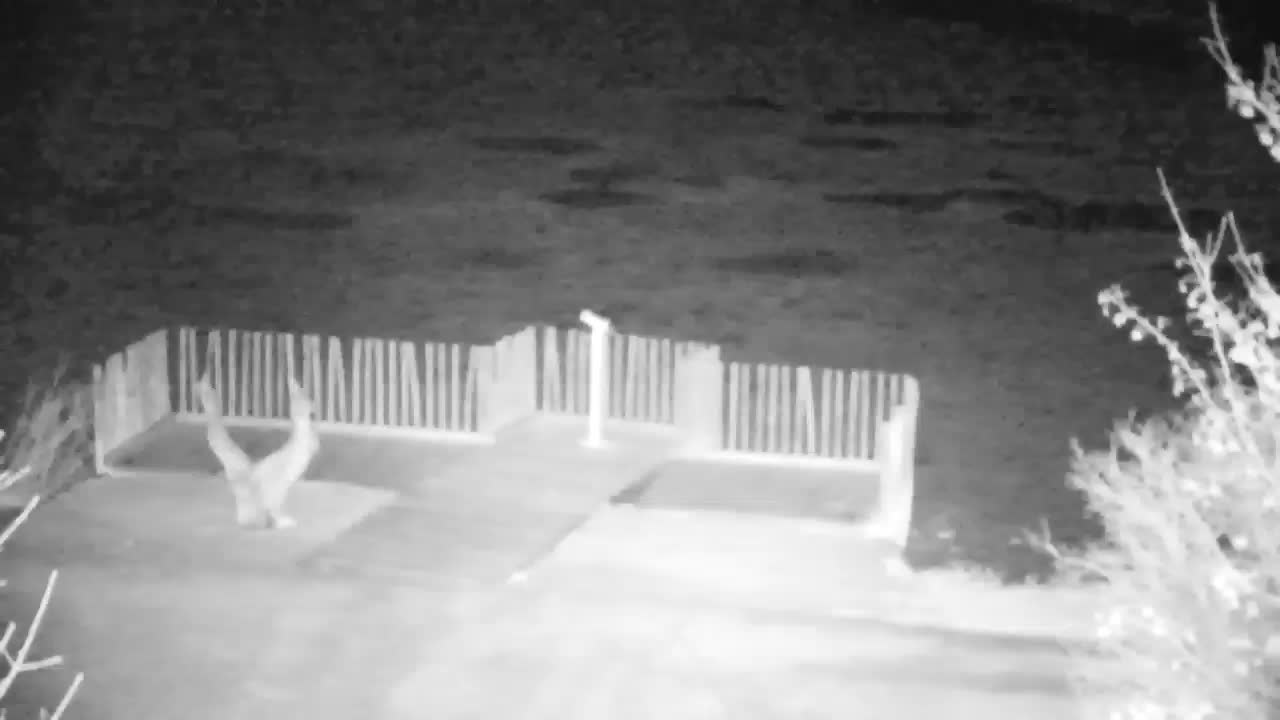 Webcam Ribnik Vrbje – Žalec