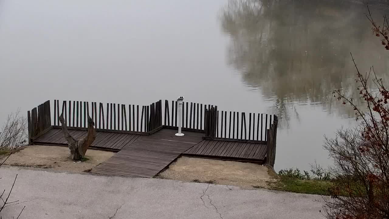 Webcam Ribnik Vrbje – Žalec