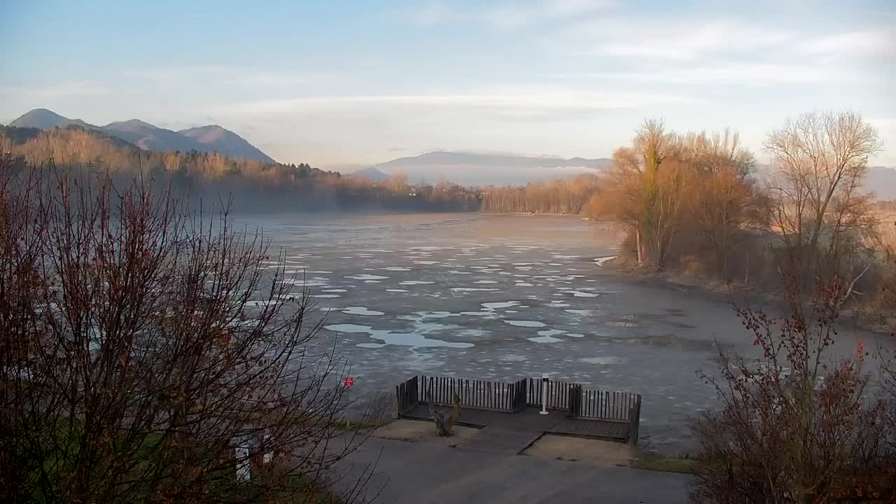 Spletna kamera Ribnik Vrbje – Žalec