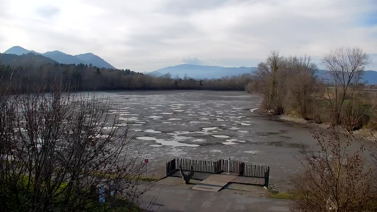 Spletna kamera Ribnik Vrbje – Žalec