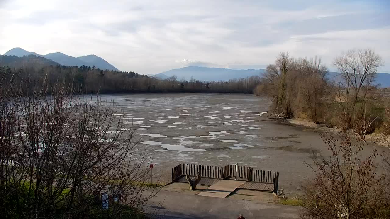 Webcam Ribnik Vrbje – Žalec