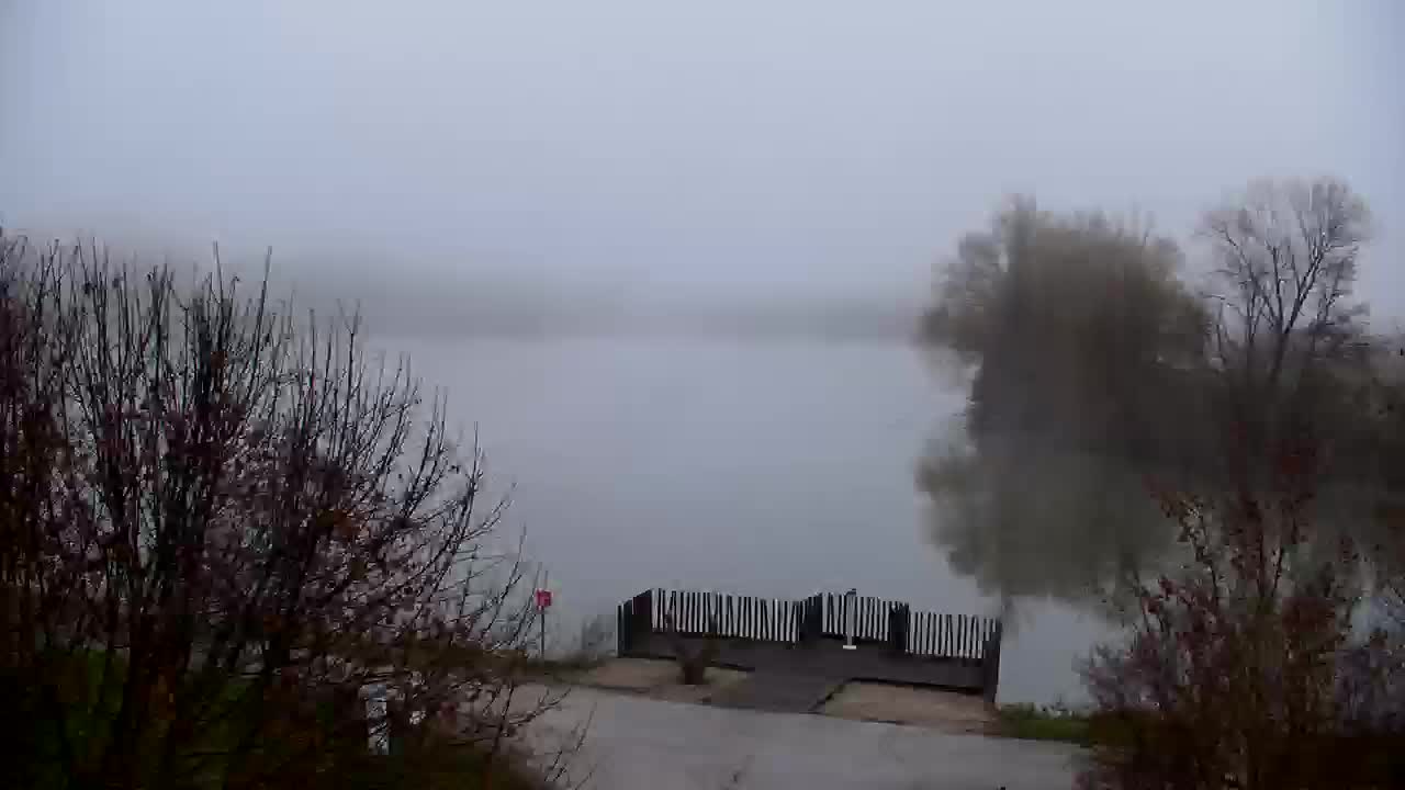 Web kamera Ribnik Vrbje – Žalec