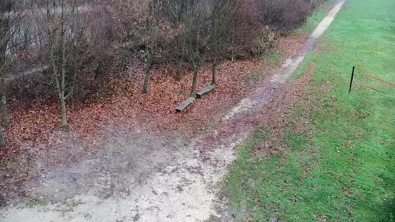 Webcam Ribnik Vrbje – Žalec