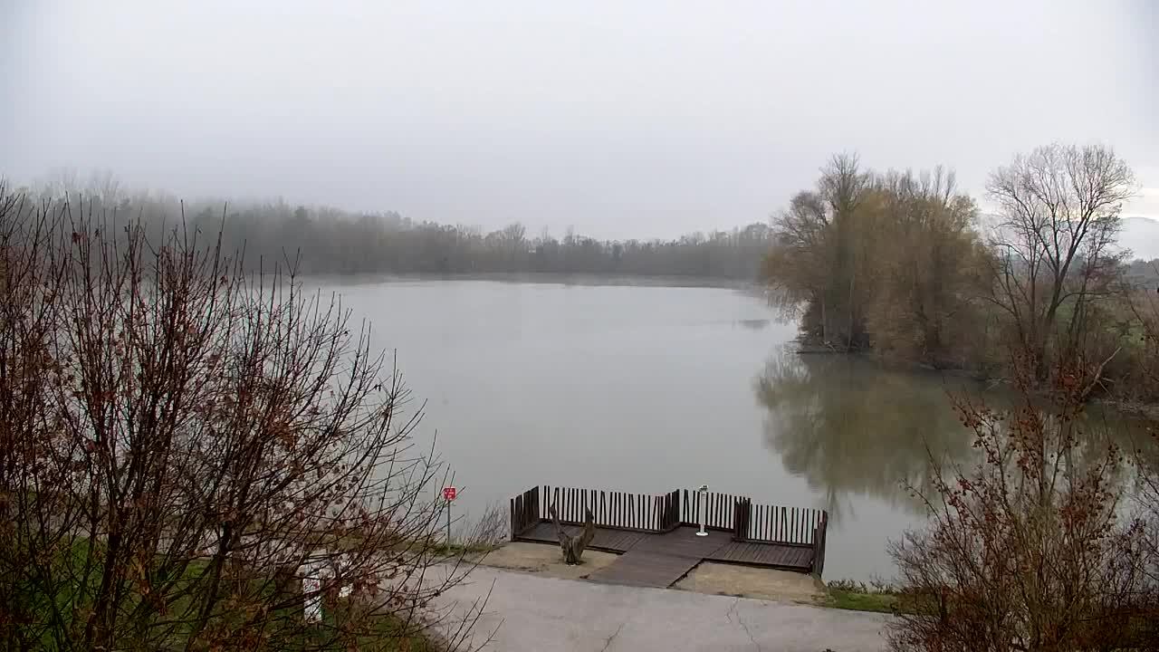 Webcam Ribnik Vrbje – Žalec