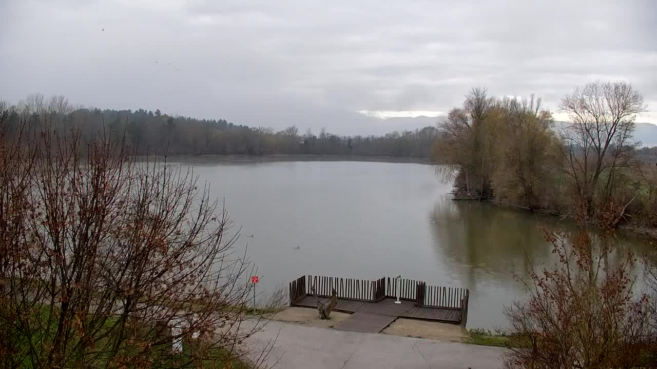 Webcam Ribnik Vrbje – Žalec