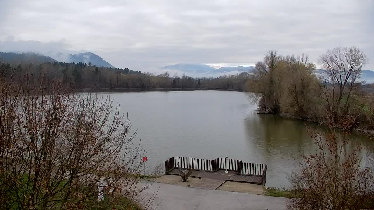 Spletna kamera Ribnik Vrbje – Žalec