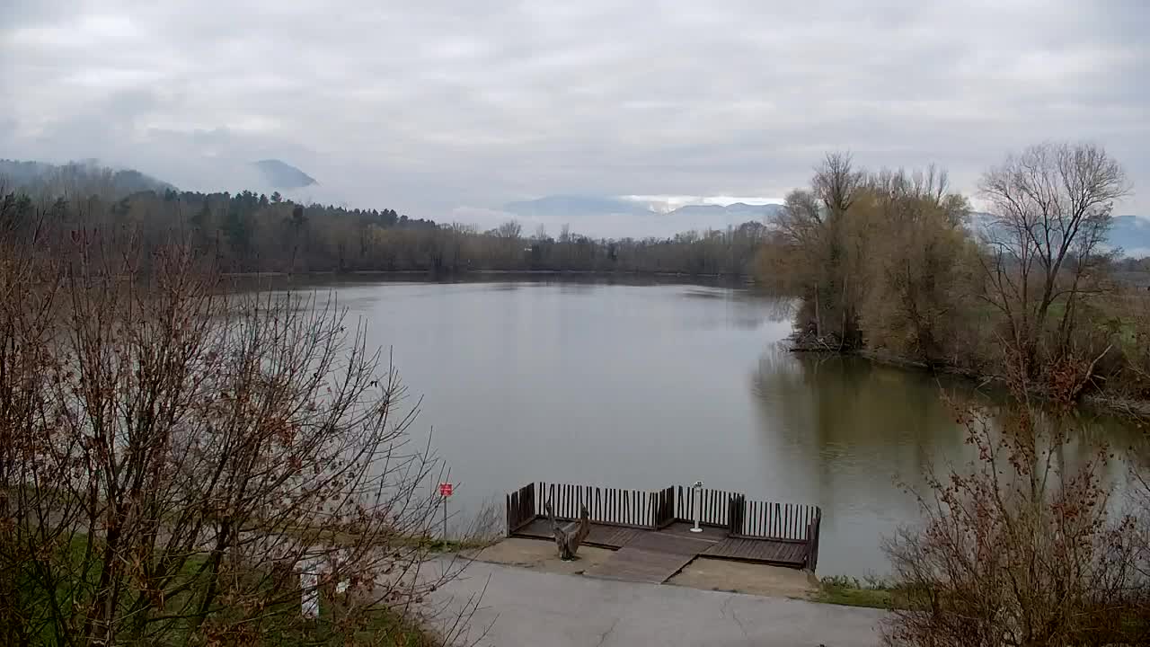 Webcam Ribnik Vrbje – Žalec