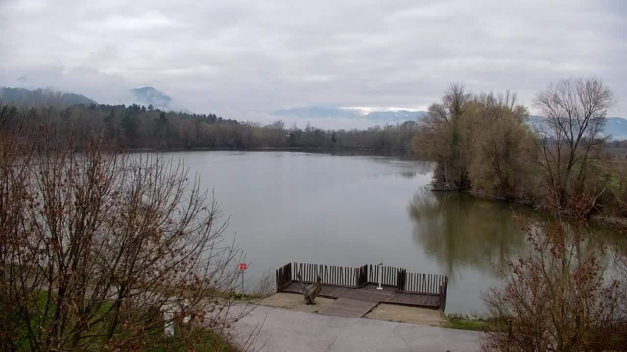 Spletna kamera Ribnik Vrbje – Žalec