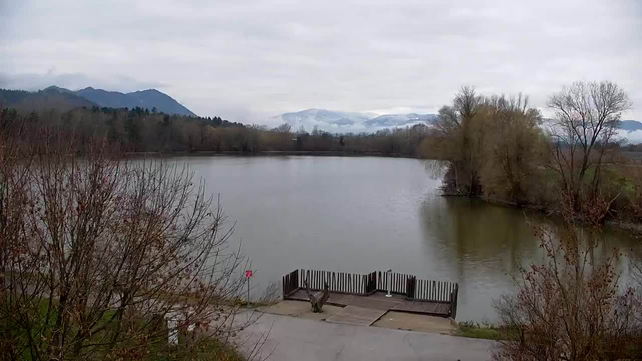 Webcam Ribnik Vrbje – Žalec