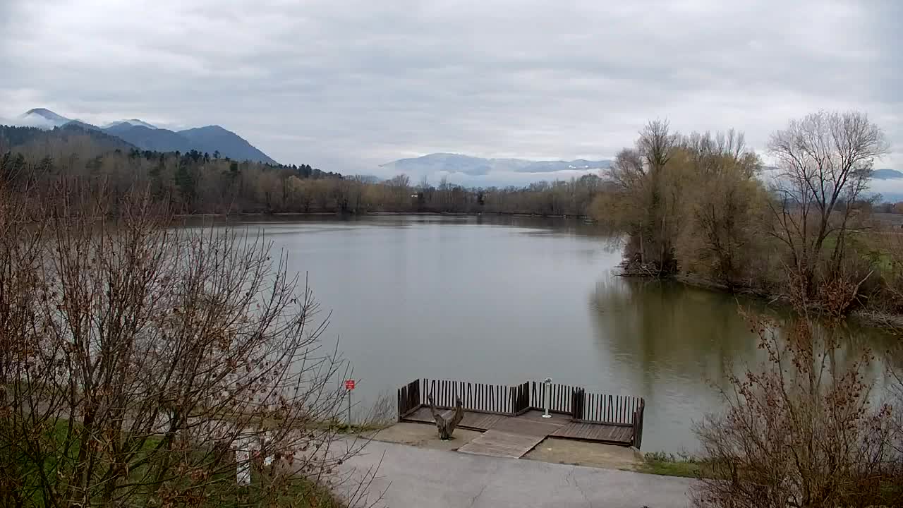 Webcam Ribnik Vrbje – Žalec