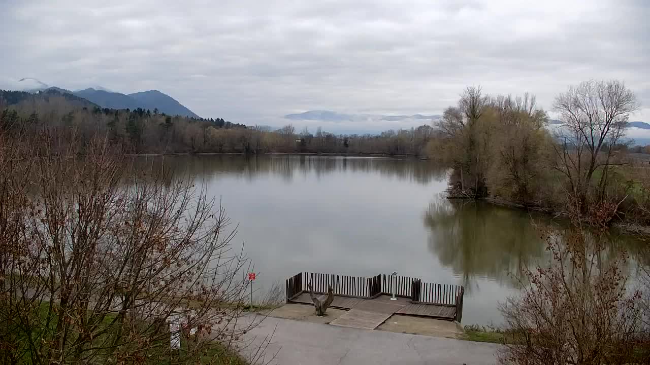 Webcam Ribnik Vrbje – Žalec