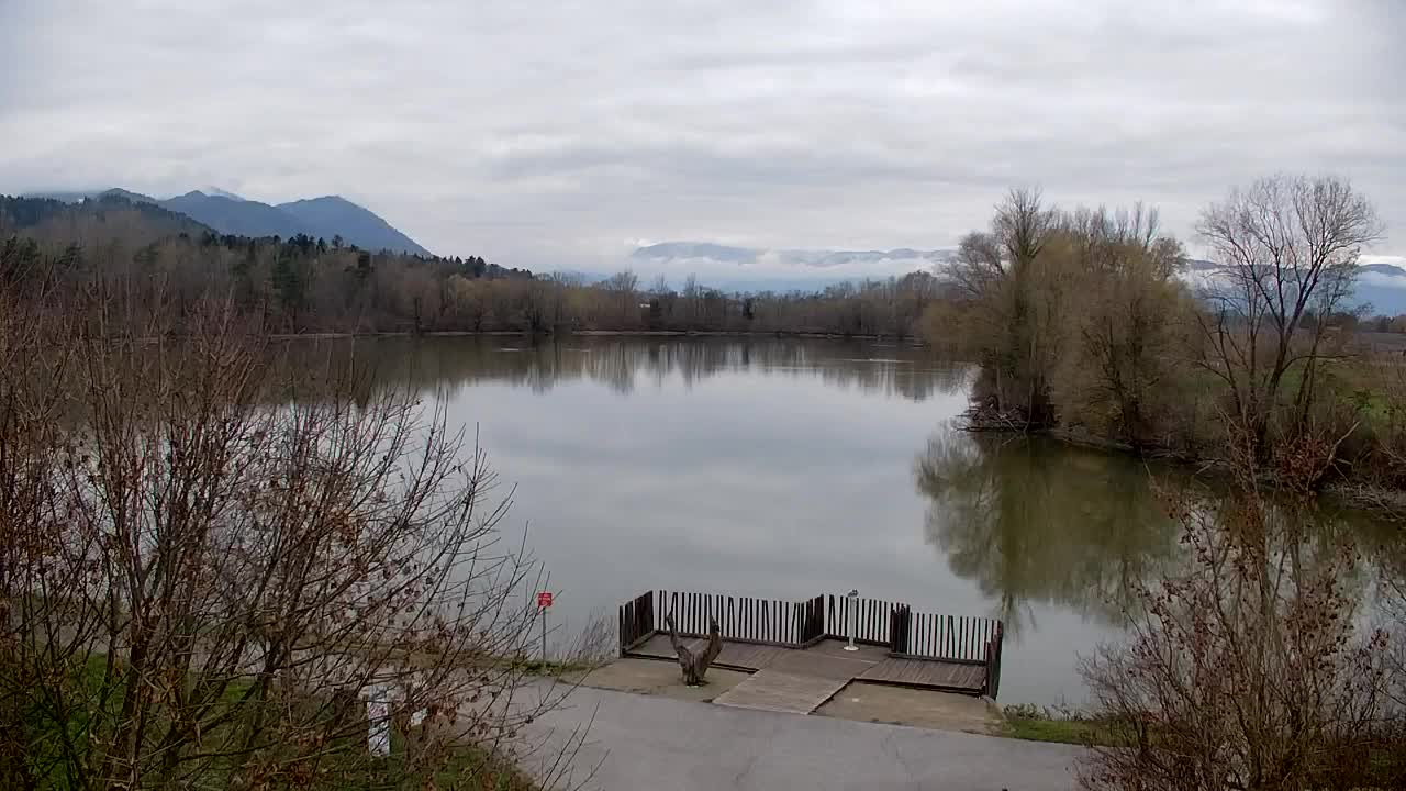 Webcam Ribnik Vrbje – Žalec