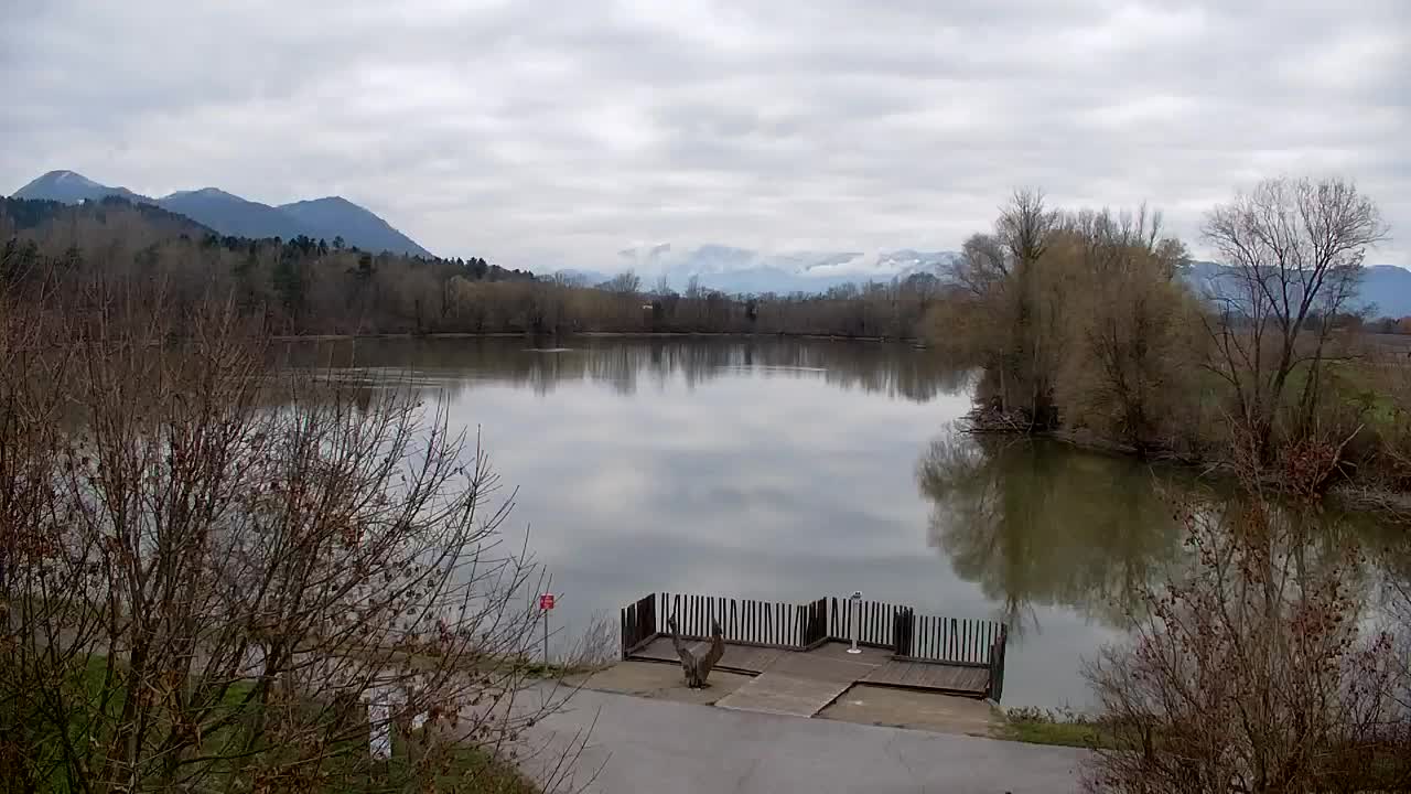 Web kamera Ribnik Vrbje – Žalec