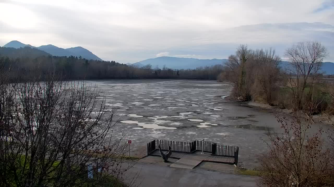 Webcam Ribnik Vrbje – Žalec