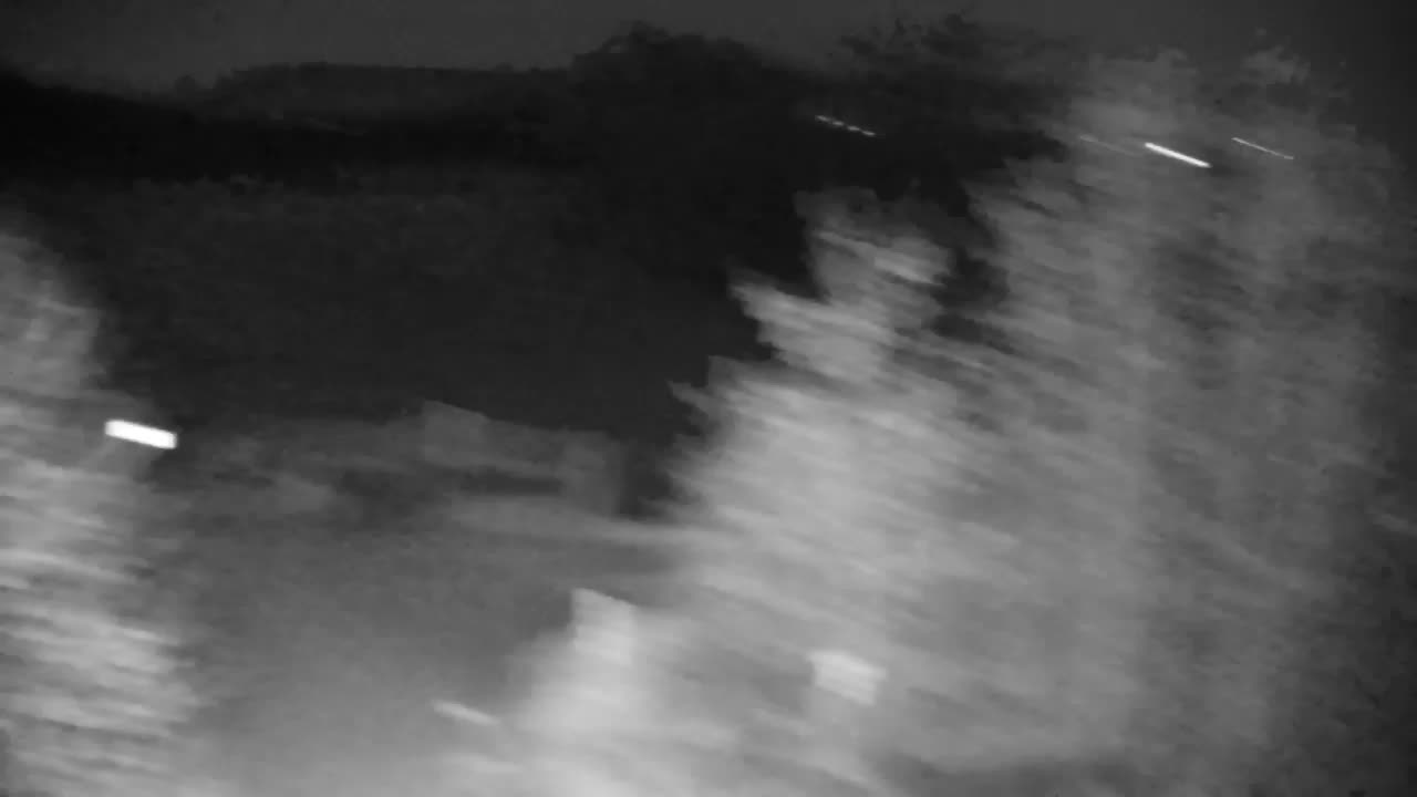 Webcam Ribnik Vrbje – Žalec