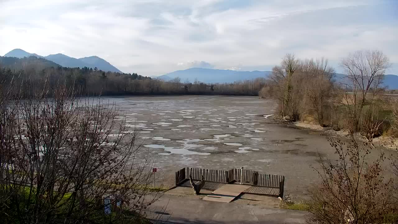 Webcam Ribnik Vrbje – Žalec