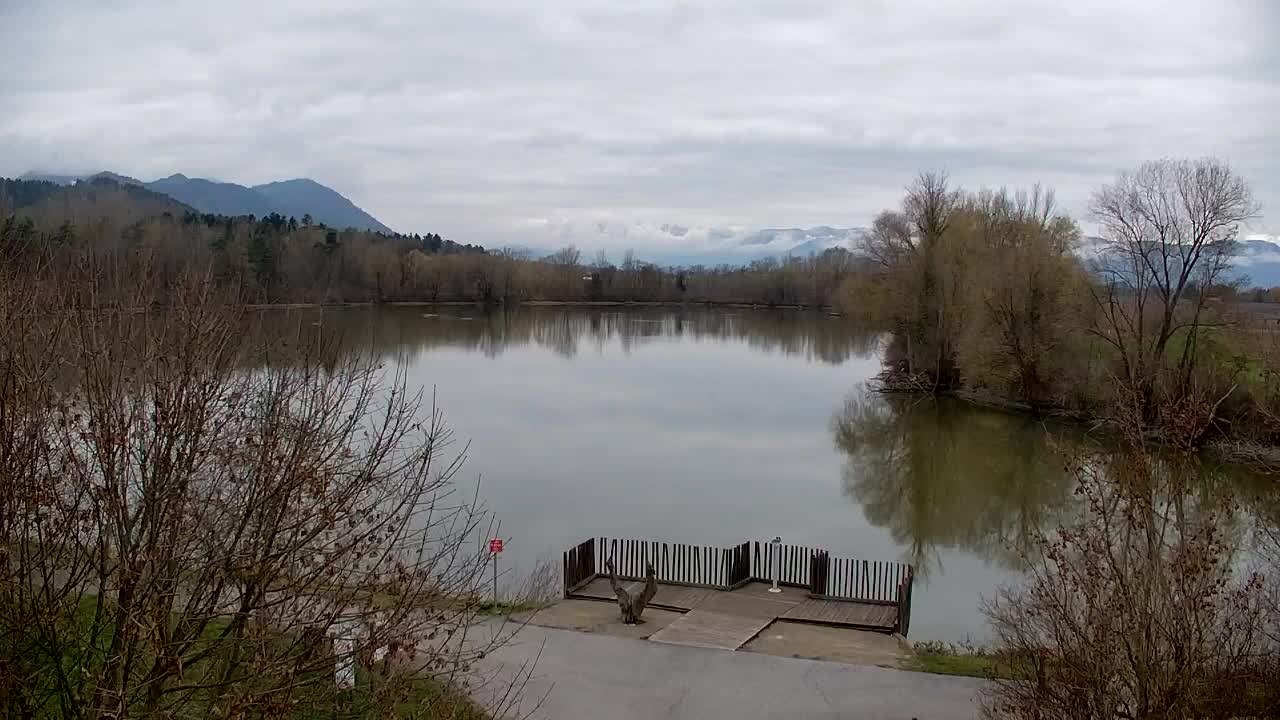 Webcam Ribnik Vrbje – Žalec