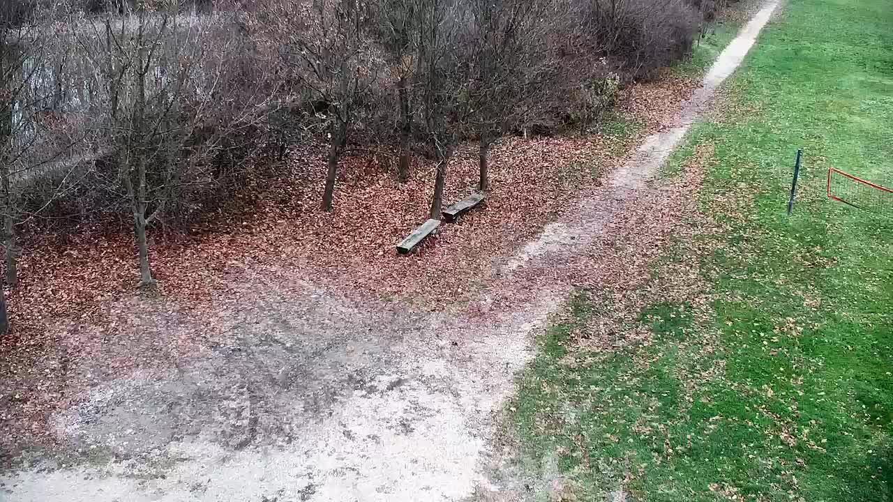 Webcam Ribnik Vrbje – Žalec