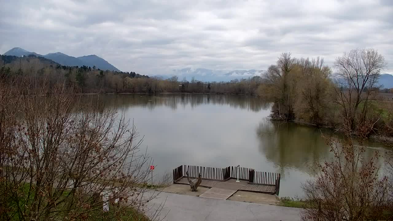 Webcam Ribnik Vrbje – Žalec