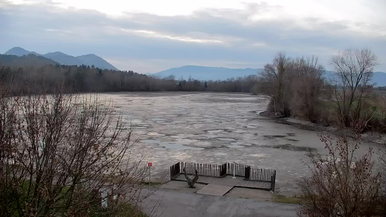 Webcam Ribnik Vrbje – Žalec