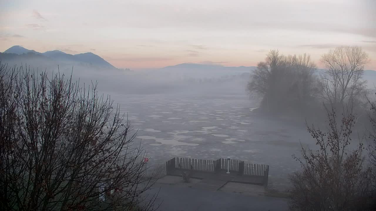 Webcam Ribnik Vrbje – Žalec