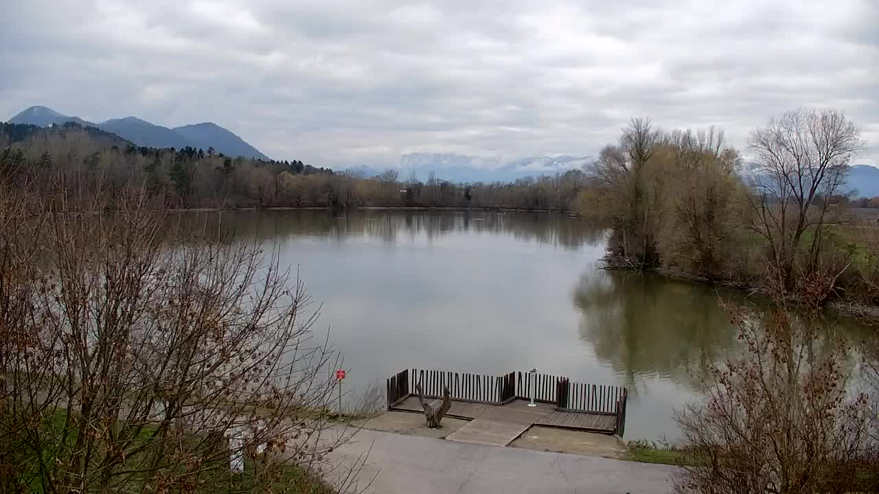 Webcam Ribnik Vrbje – Žalec