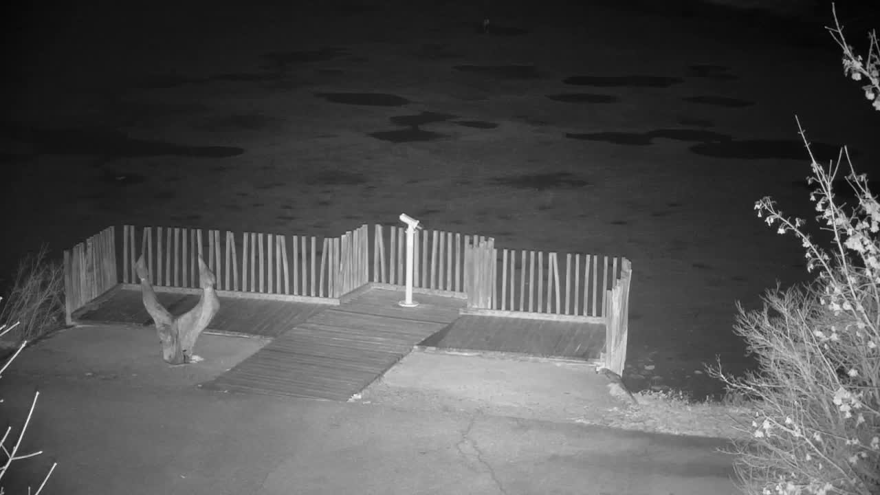 Webcam Ribnik Vrbje – Žalec