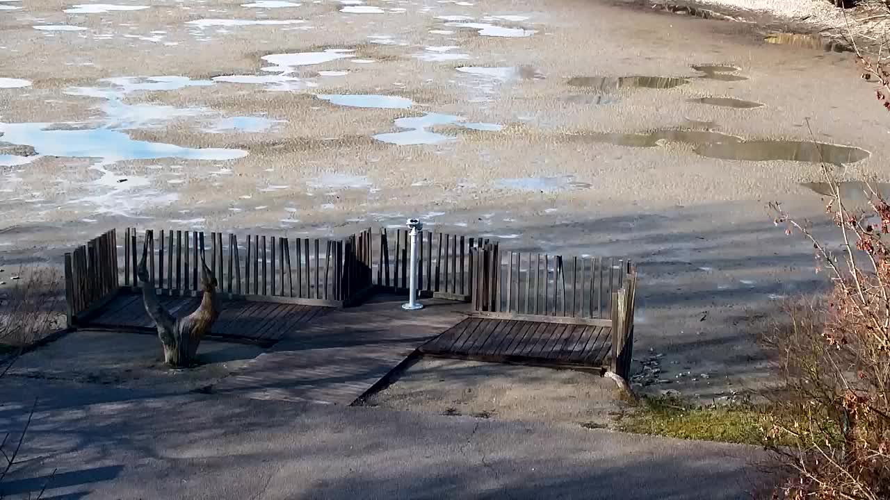 Webcam Ribnik Vrbje – Žalec