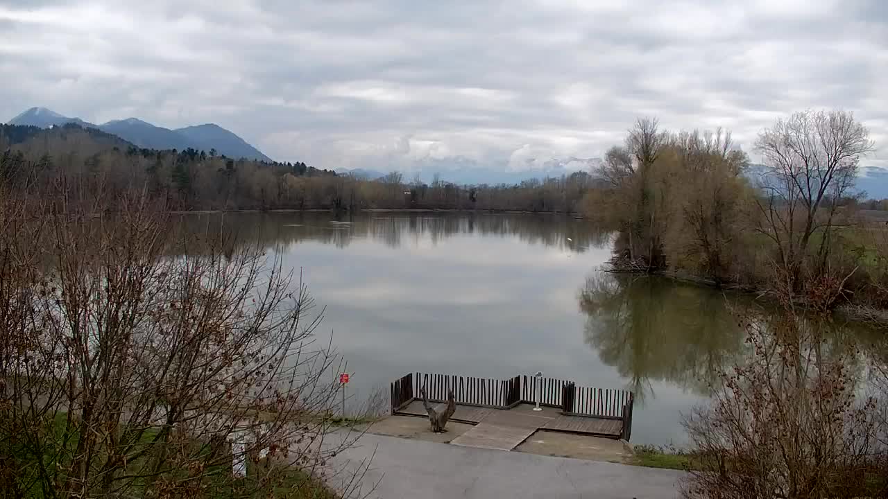 Webcam Ribnik Vrbje – Žalec