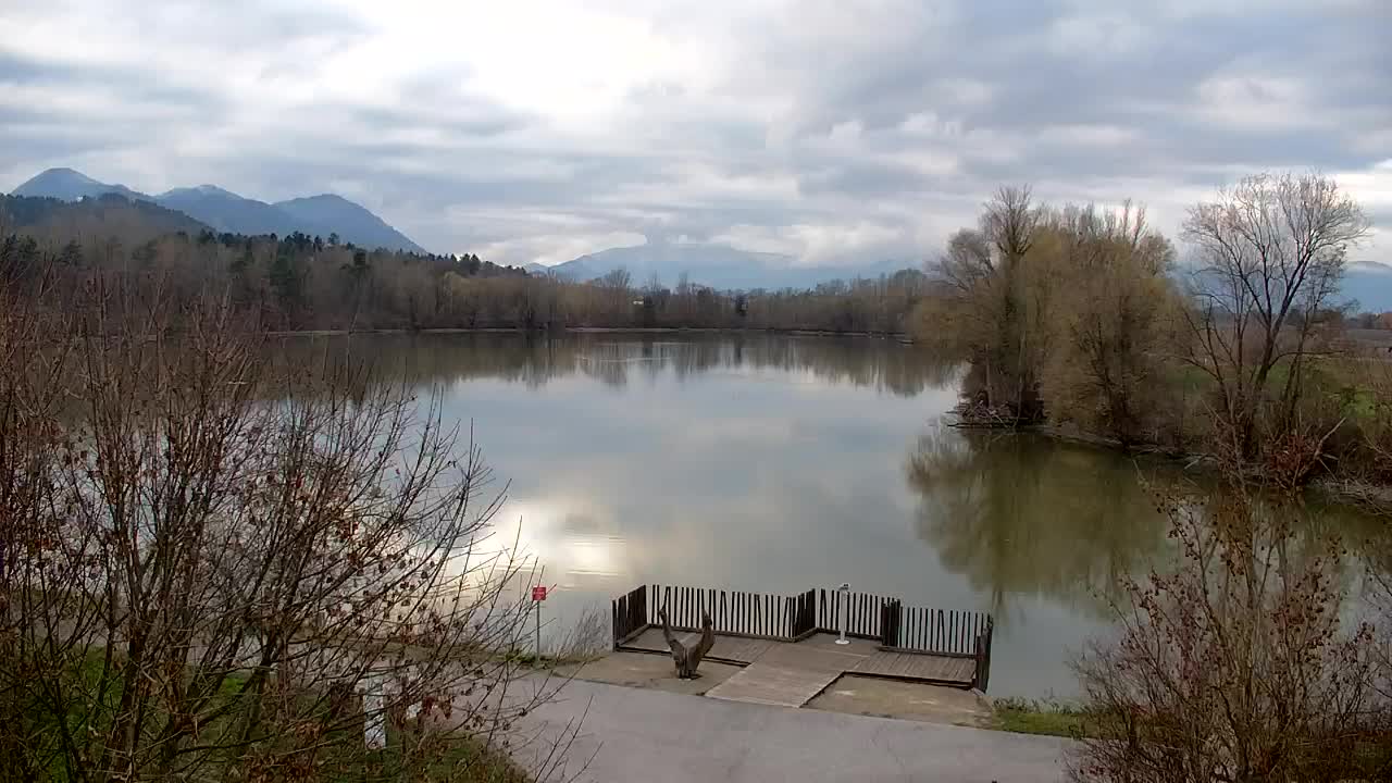 Webcam Ribnik Vrbje – Žalec