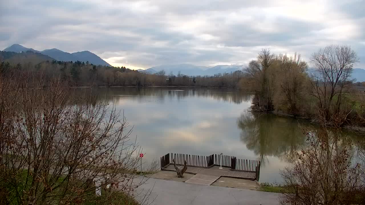 Webcam Ribnik Vrbje – Žalec