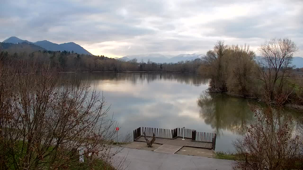 Spletna kamera Ribnik Vrbje – Žalec