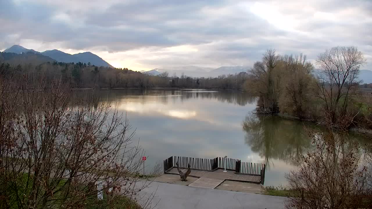 Webcam Ribnik Vrbje – Žalec