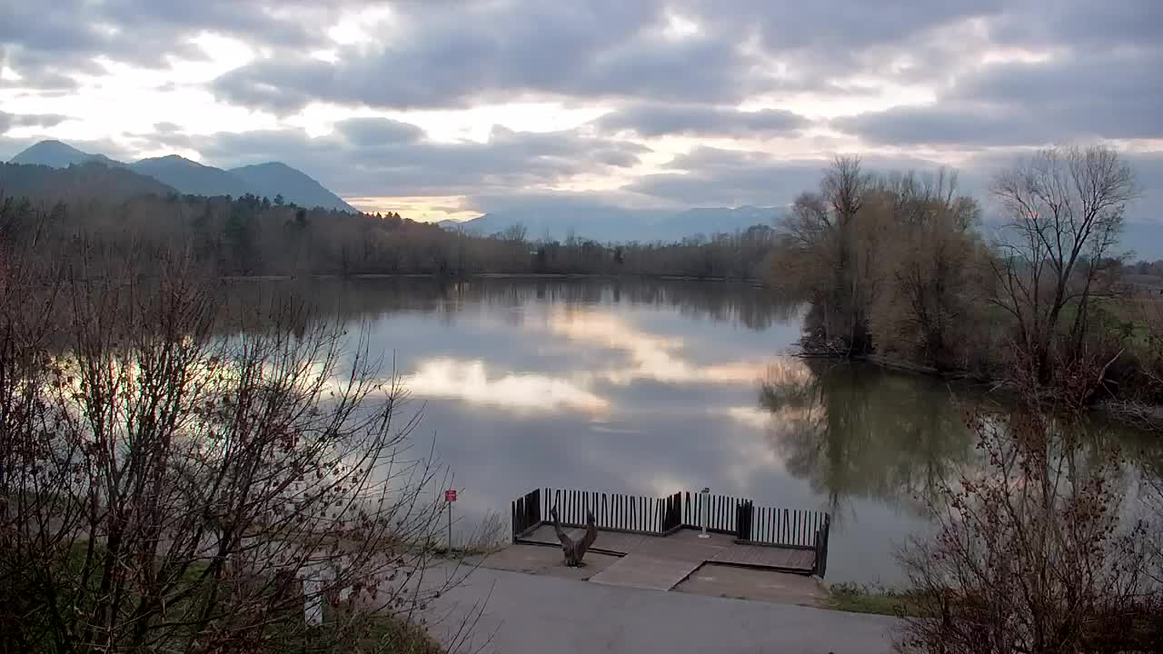 Webcam Ribnik Vrbje – Žalec