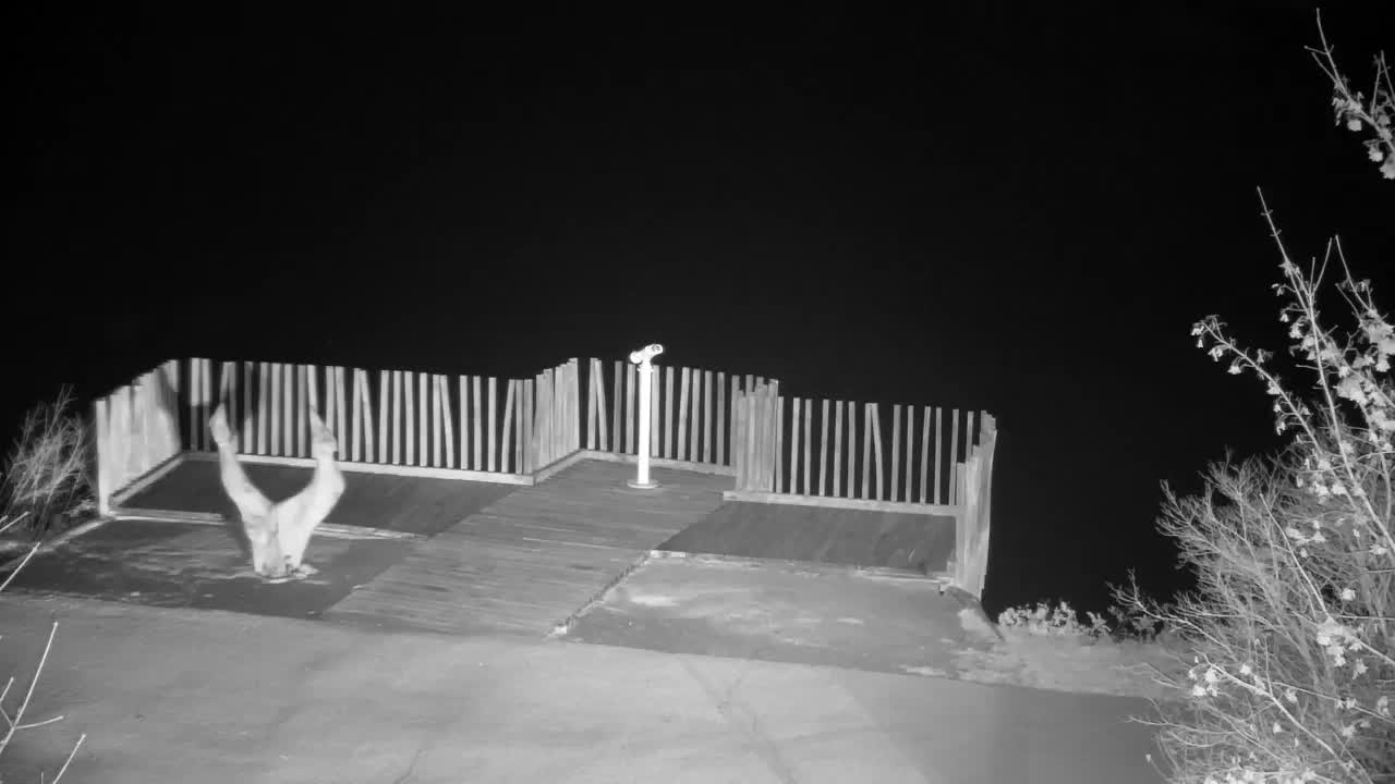 Webcam Ribnik Vrbje – Žalec