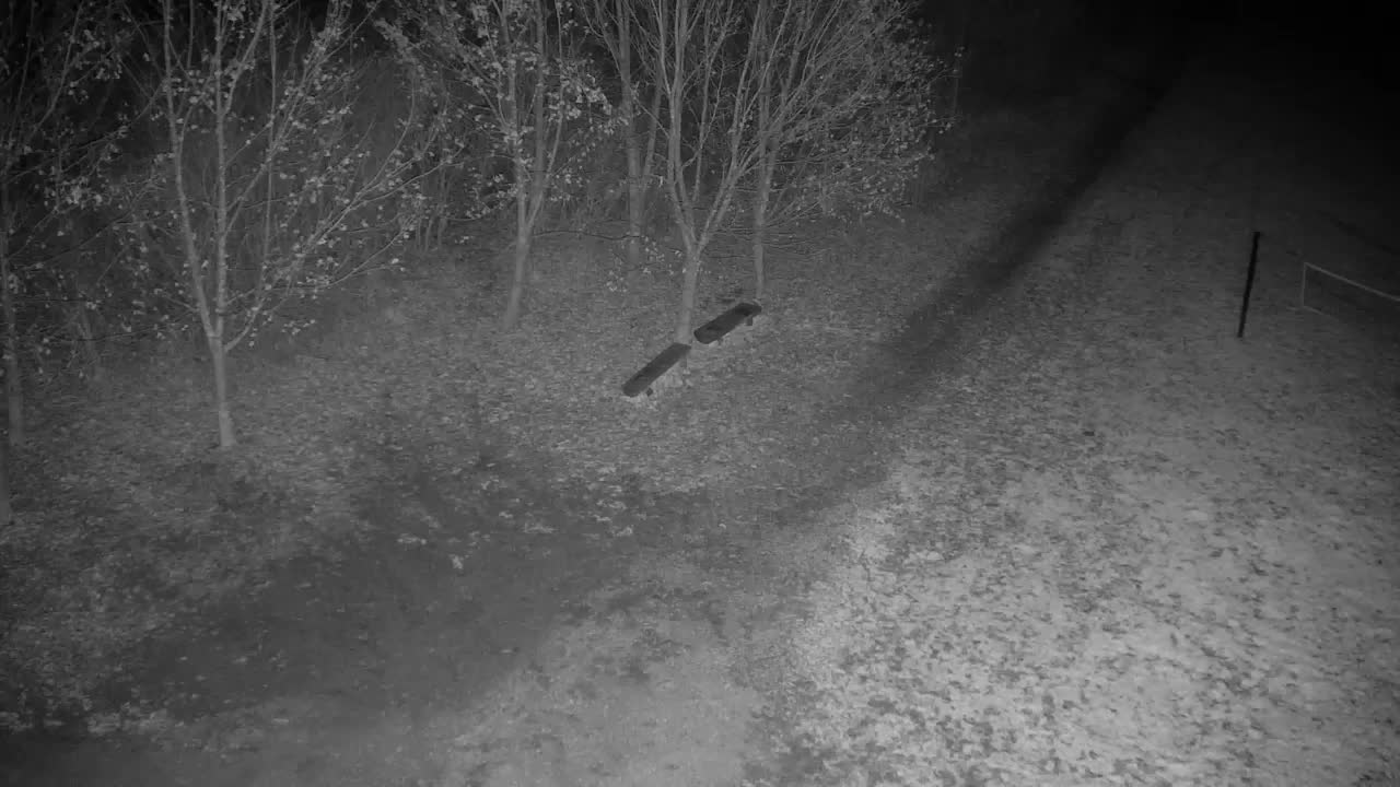 Spletna kamera Ribnik Vrbje – Žalec