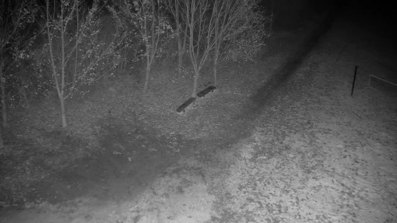 Spletna kamera Ribnik Vrbje – Žalec