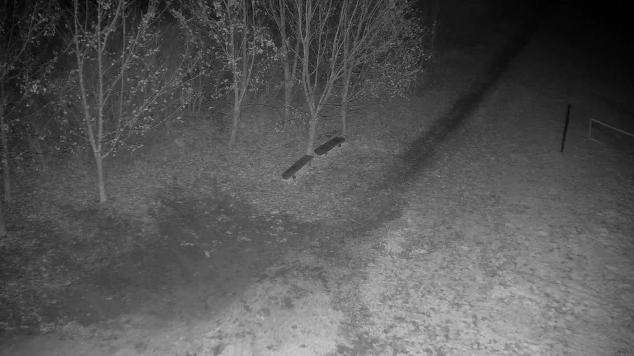 Webcam Ribnik Vrbje – Žalec