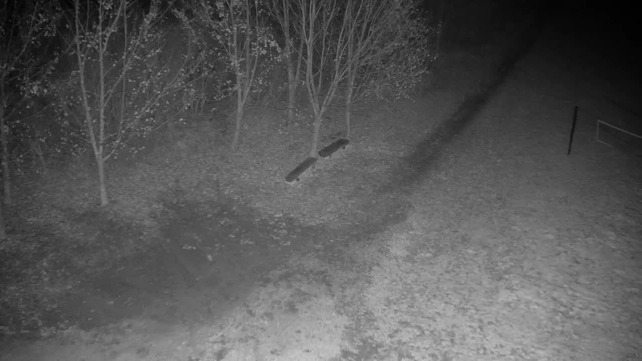 Webcam Ribnik Vrbje – Žalec