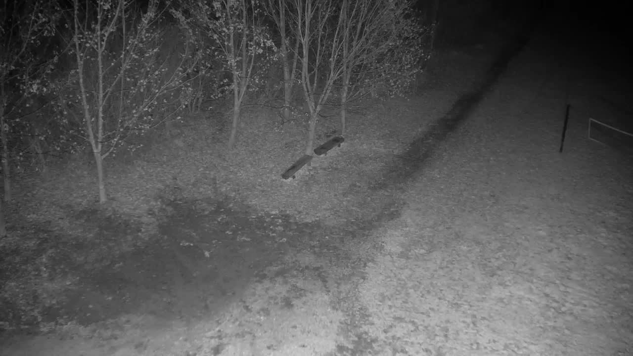 Webcam Ribnik Vrbje – Žalec