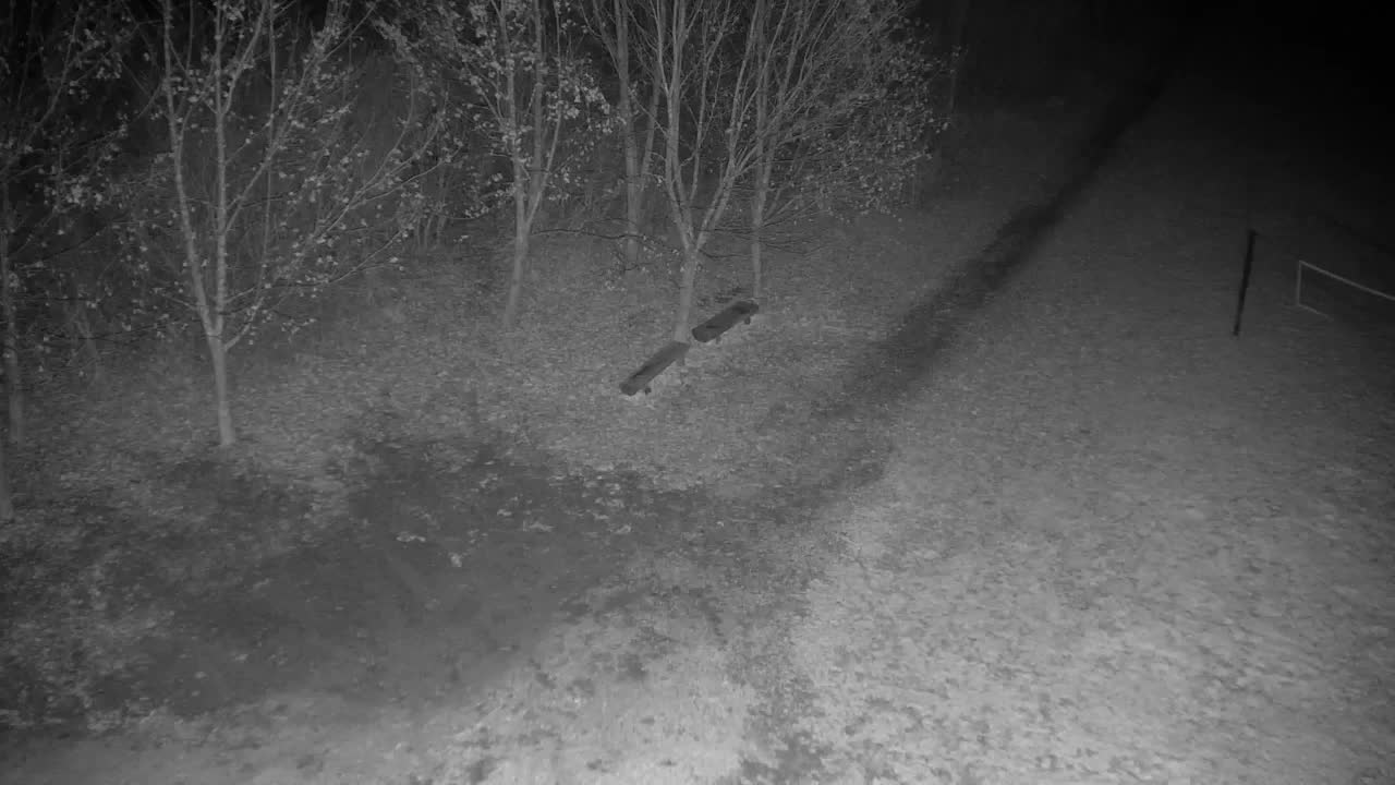 Webcam Ribnik Vrbje – Žalec