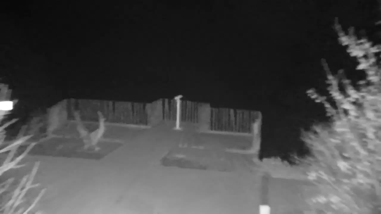 Webcam Ribnik Vrbje – Žalec