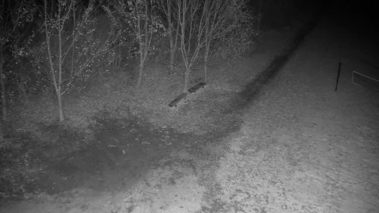 Webcam Ribnik Vrbje – Žalec