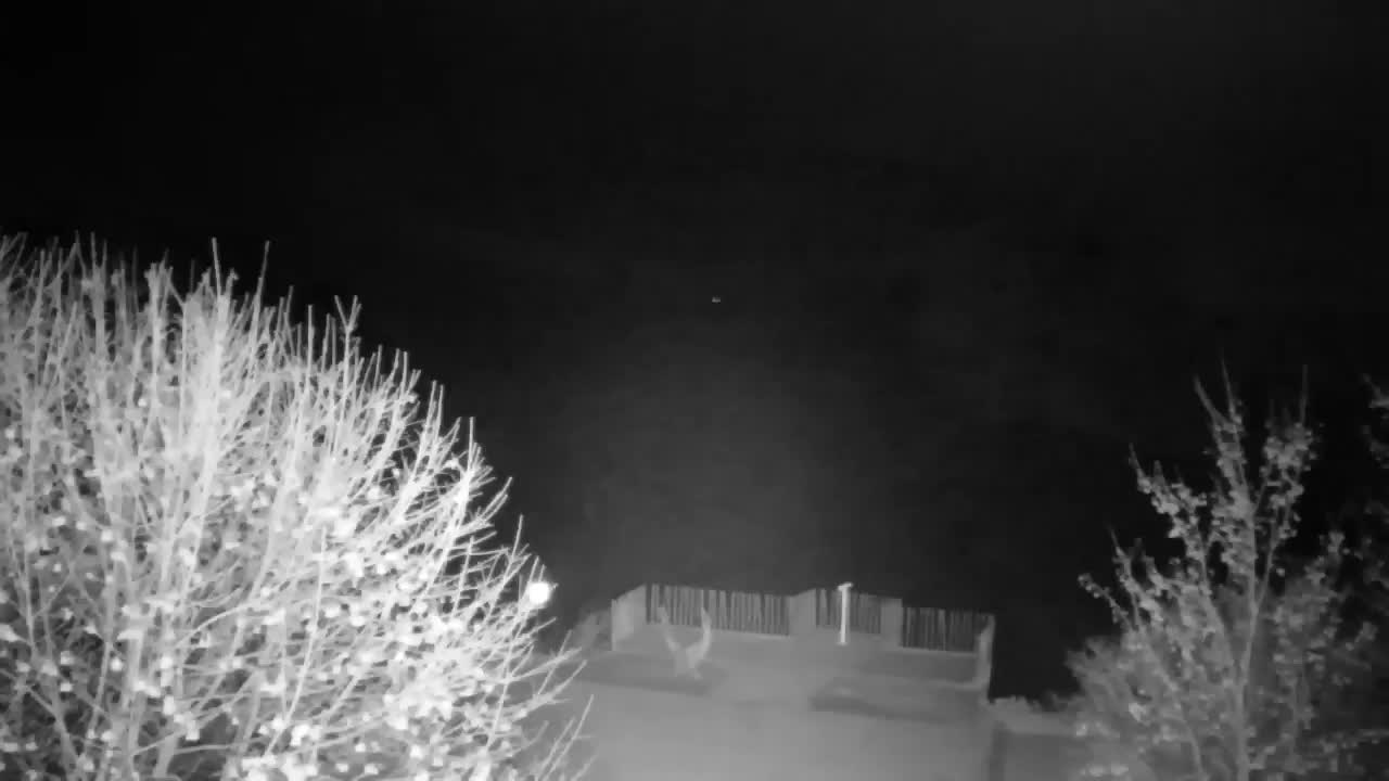 Webcam Ribnik Vrbje – Žalec