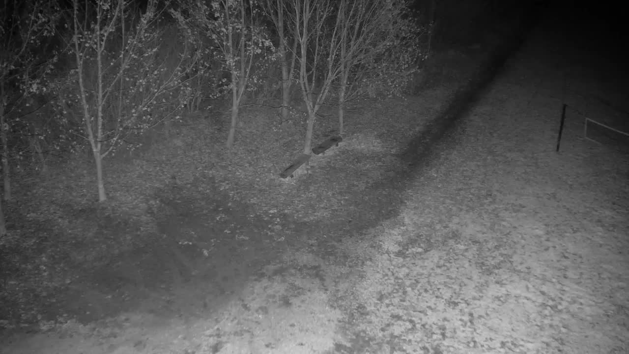 Web kamera Ribnik Vrbje – Žalec