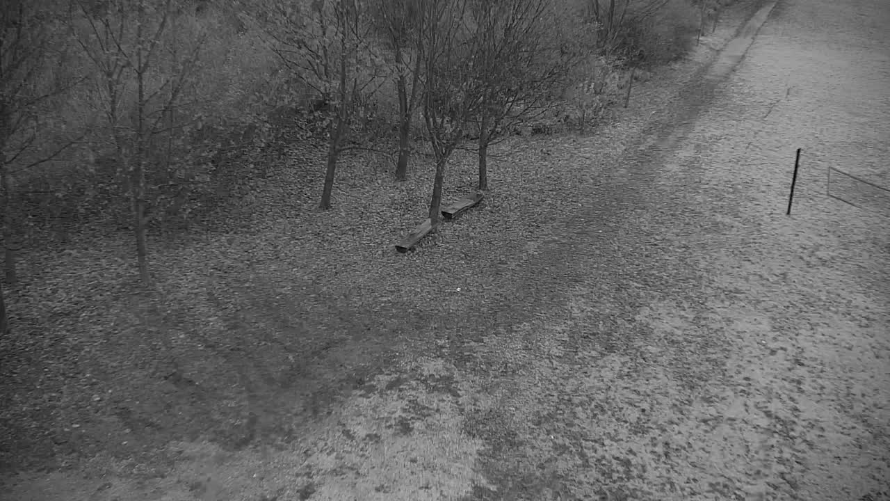 Web kamera Ribnik Vrbje – Žalec