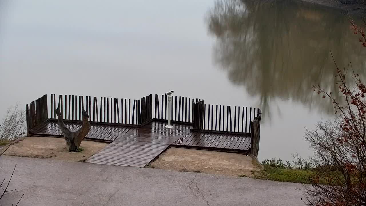 Webcam Ribnik Vrbje – Žalec