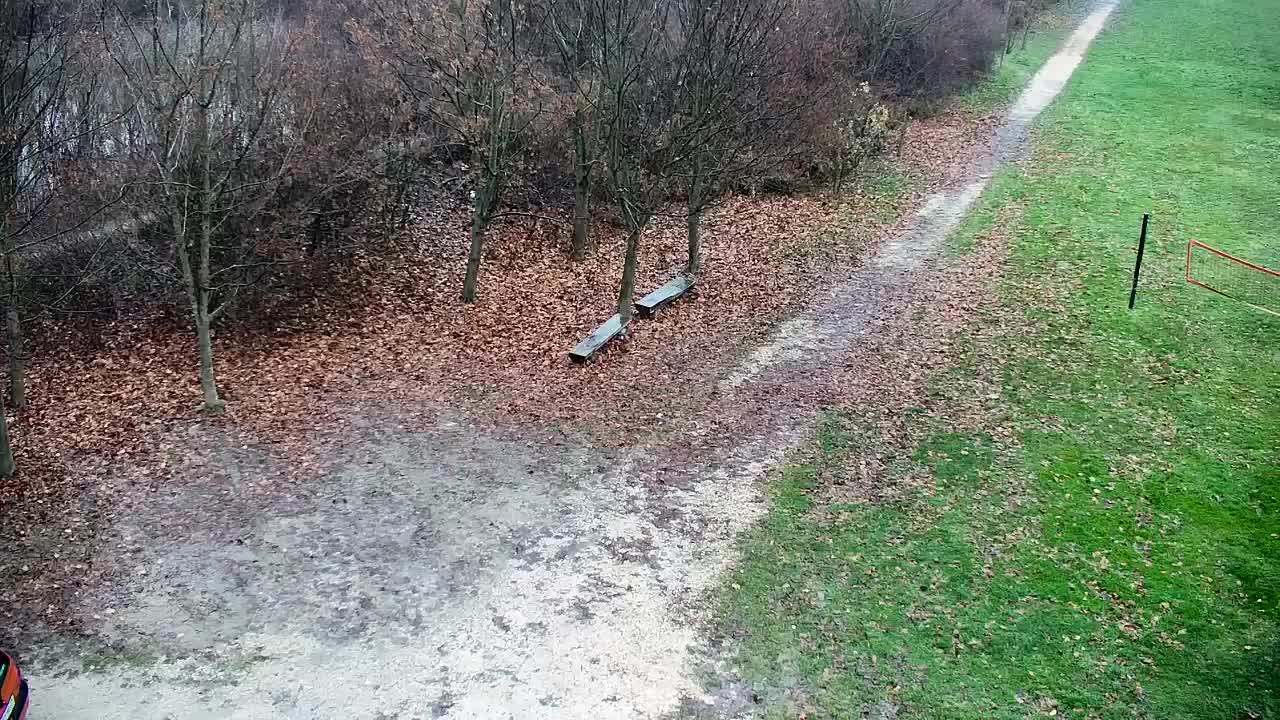 Webcam Ribnik Vrbje – Žalec