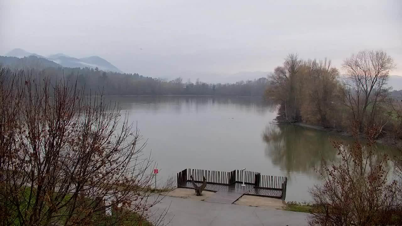 Webcam Ribnik Vrbje – Žalec