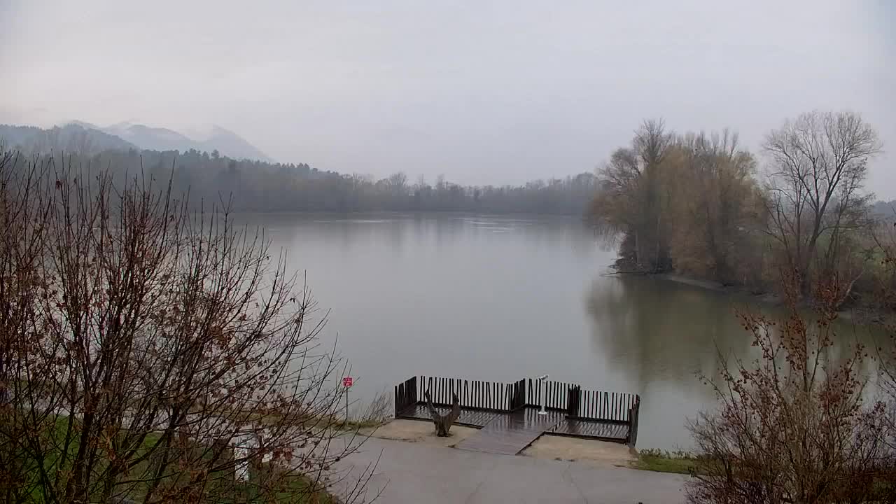 Webcam Ribnik Vrbje – Žalec